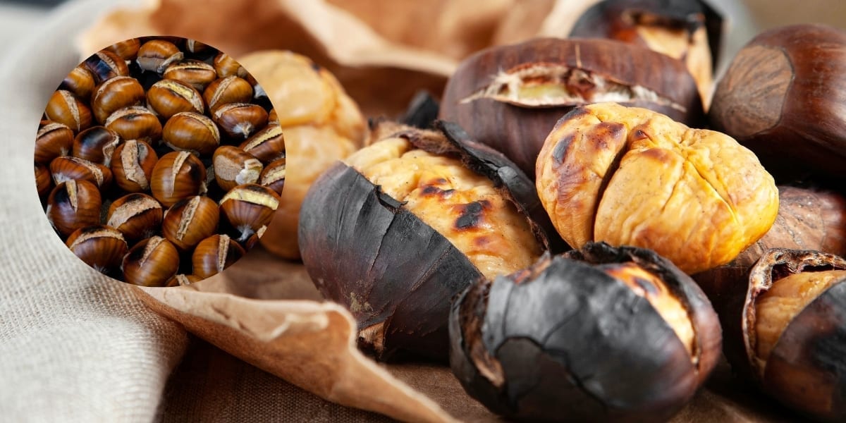 Castanele – O Incursiune în Lumea Aromelor și Beneficiilor